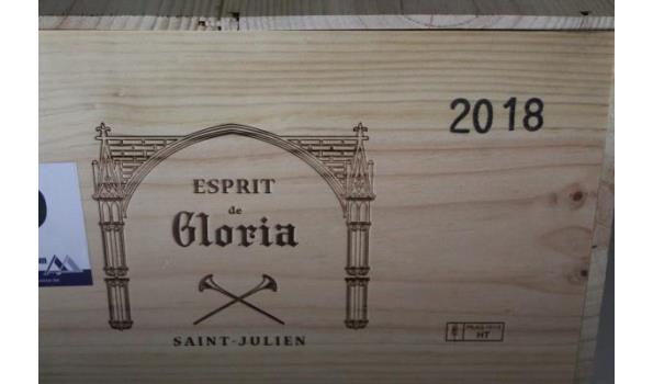 kist inh 6 flessen à 1,5l rode wijn Esprit de Gloria, Saint-Julien, 2018